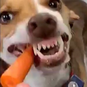 Meet your Posher, Cameron